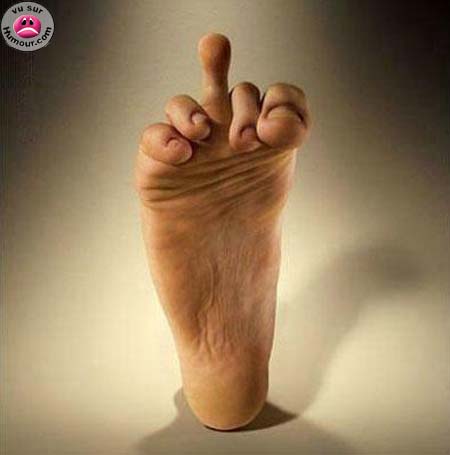 hola  fock  you   laik